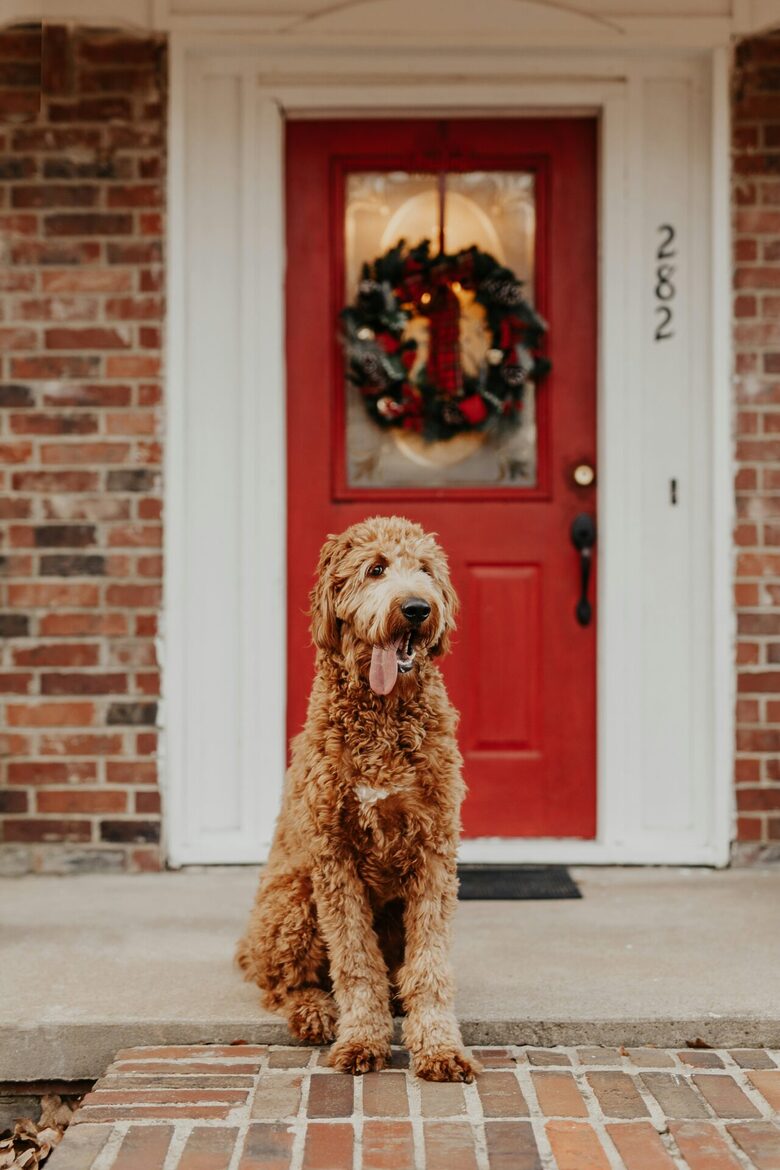 A composite door dressed as a Christmas door creates the perfect festive welcome — combining warmth, style, and security for the season