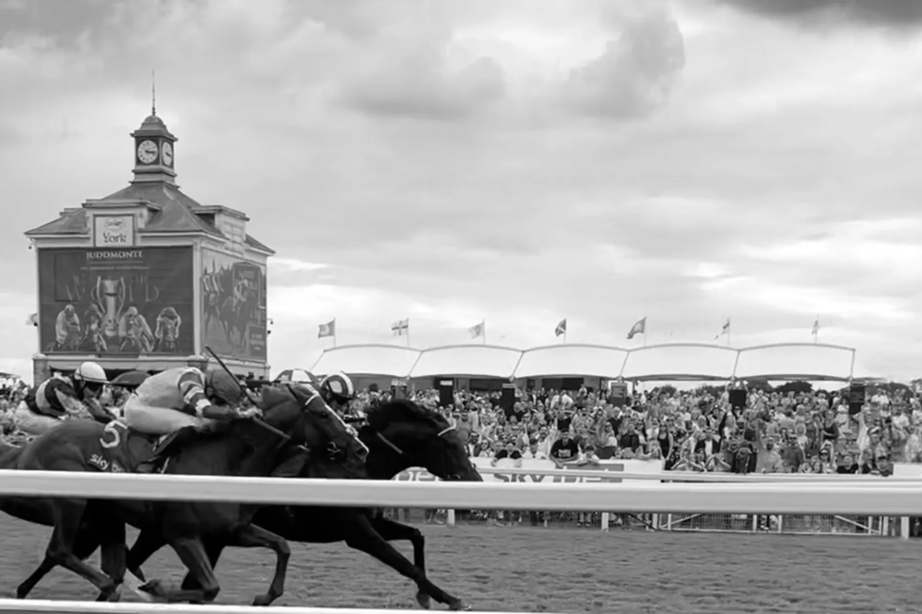 York Races