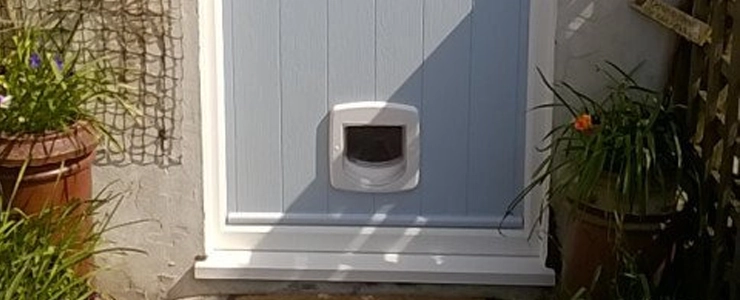 Comp Door fitted with a Cat Flap
