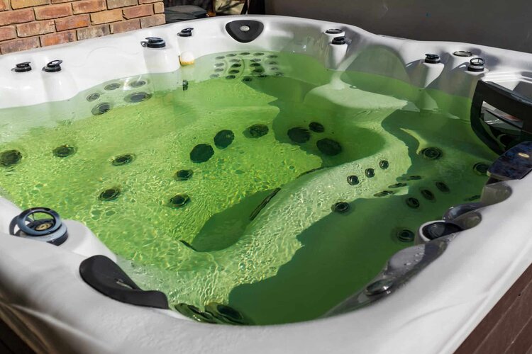 Algae in Hottub