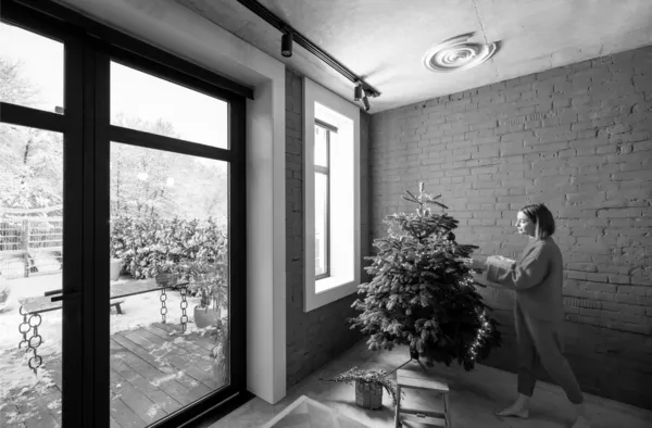 South-Facing or West-Facing Windows: