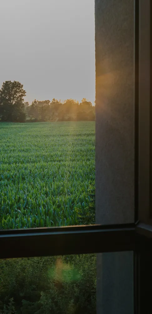 Solar Control Glass